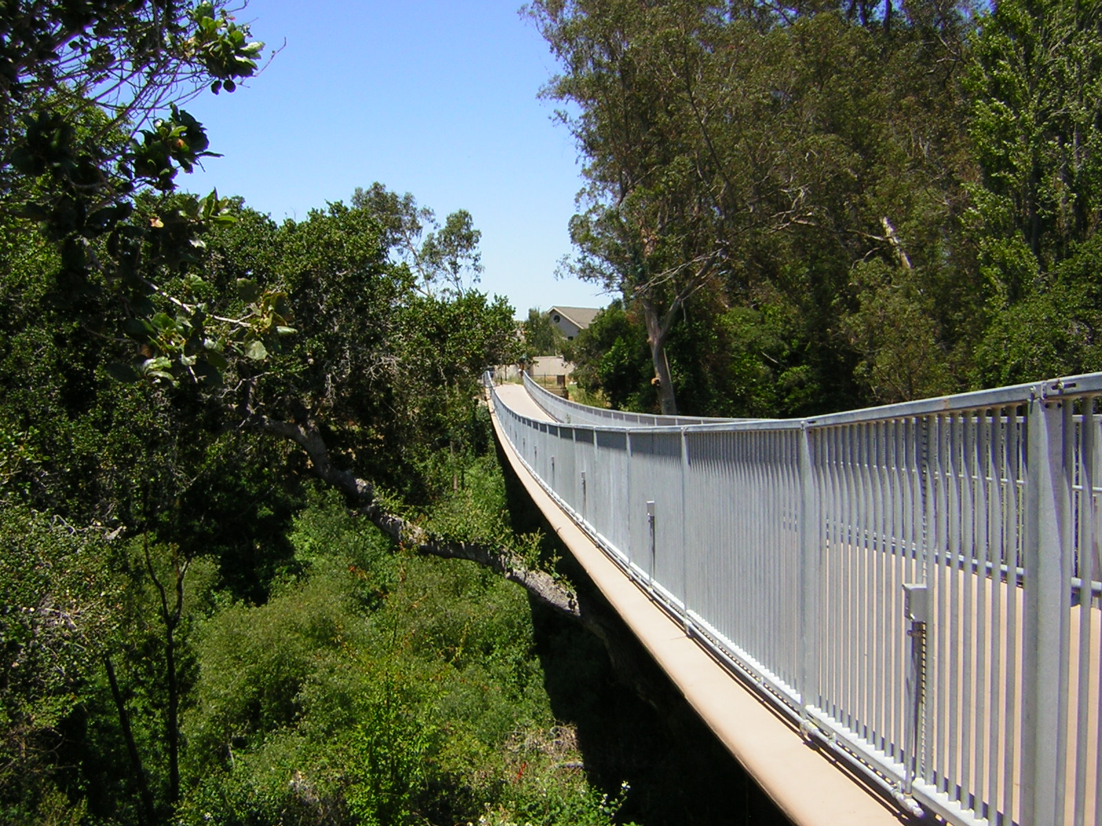 *Terra Garden* Nature walk near our house