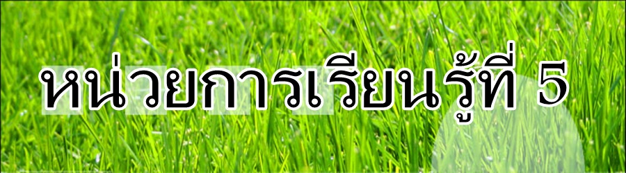 หน่วยการเรียนรู้ที่  5