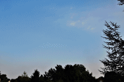 Die Politiker bellen, aber die Wolken ziehen weiter... Die Politiker bellen, aber die Wolken ziehen weiter...