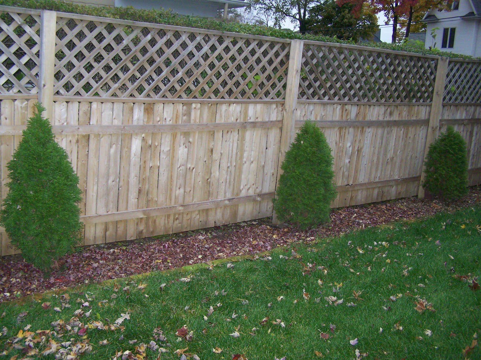 Kel39s Garden Journal November 2011 Kel39s Garden Journal November 2011