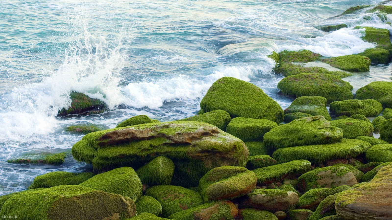 All new wallpaper : Full hd nice wallpapers Views