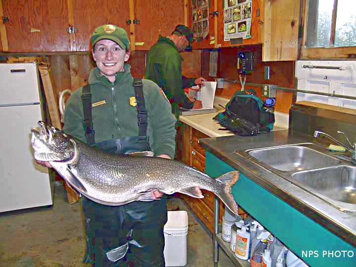 Fly Fishing In Yellowstone National Park Of Lake Trout & Grizzly Bears