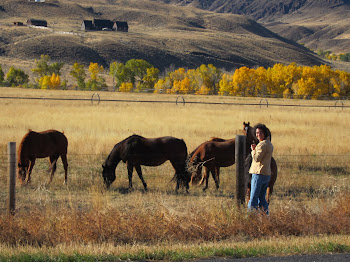 Shann, Wyoming Horses