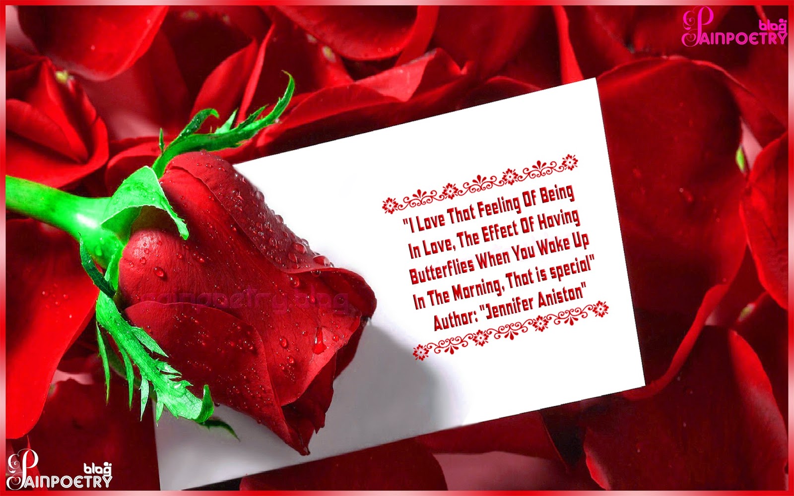 Love-Greeting-Quote-For-Lovers-With-A-Rose-Image-Photo-Wallpaper-HD Love-Greeting-Quote-For-Lovers-With-A-Rose-Image-Photo-Wallpaper-HD