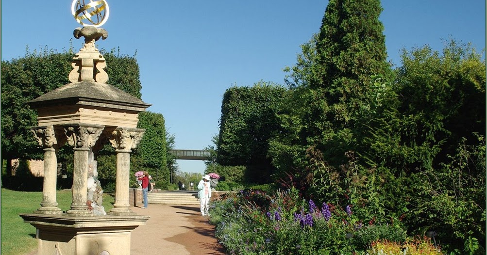 Plant Gallery - Encyklopedia Roślin: English garden photos, pictures