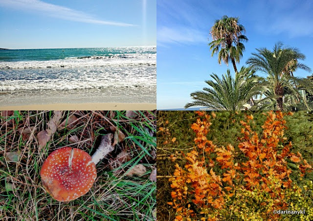 Goodbye Summer, Hello Autumn Goodbye-Summer-Hello-Autumn