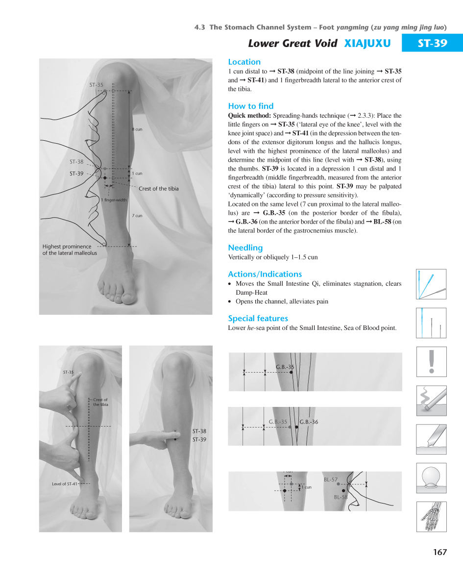 Acupuncture Masters Acupuncture Points Database Stomach channel