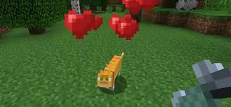 小光解題 Minecraft 如何馴服 抓貓咪 野生豹貓 1 2