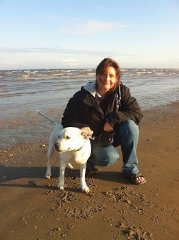 On the beach with rescue dog