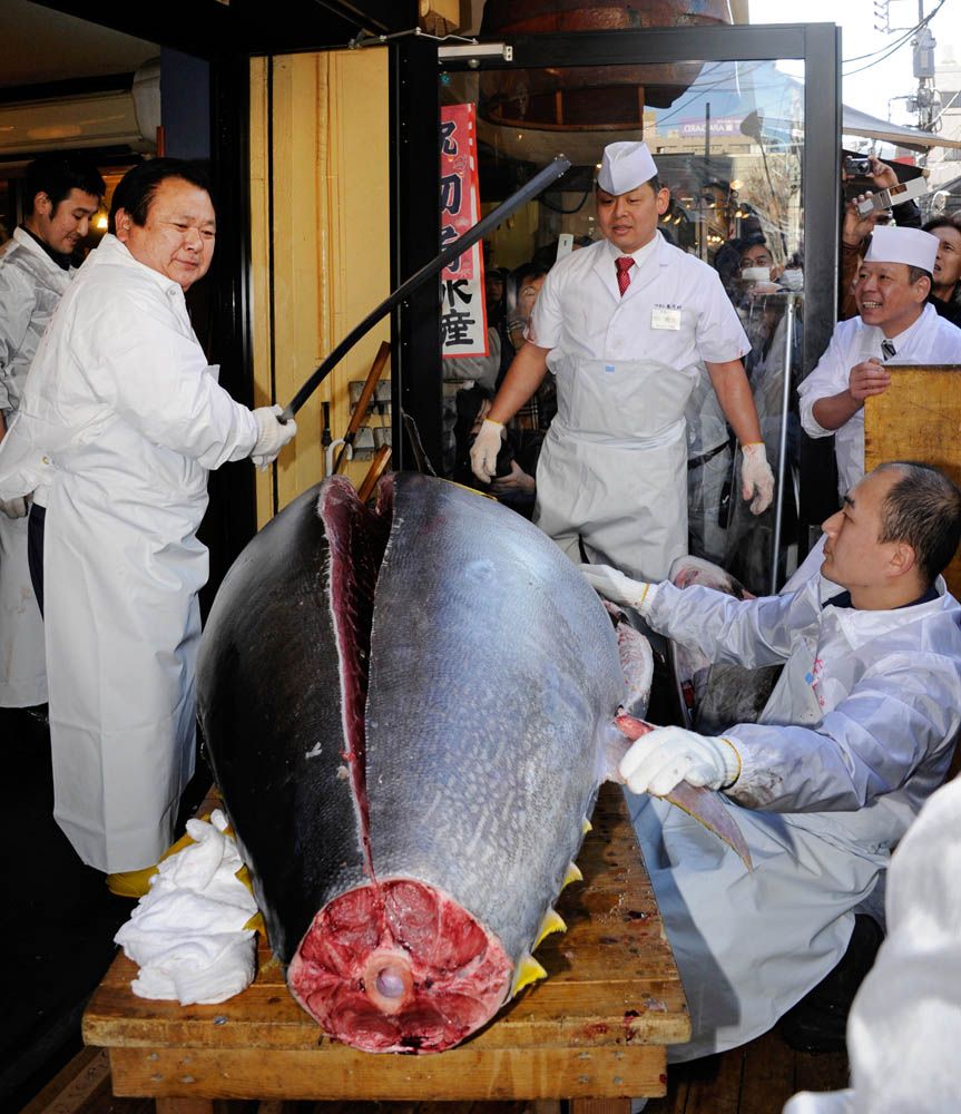 Classy Posts Record Japanese tuna