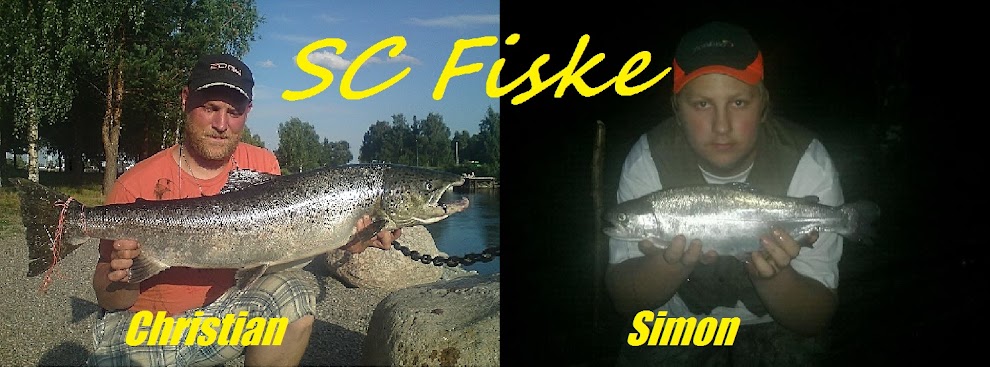 SC Fiske