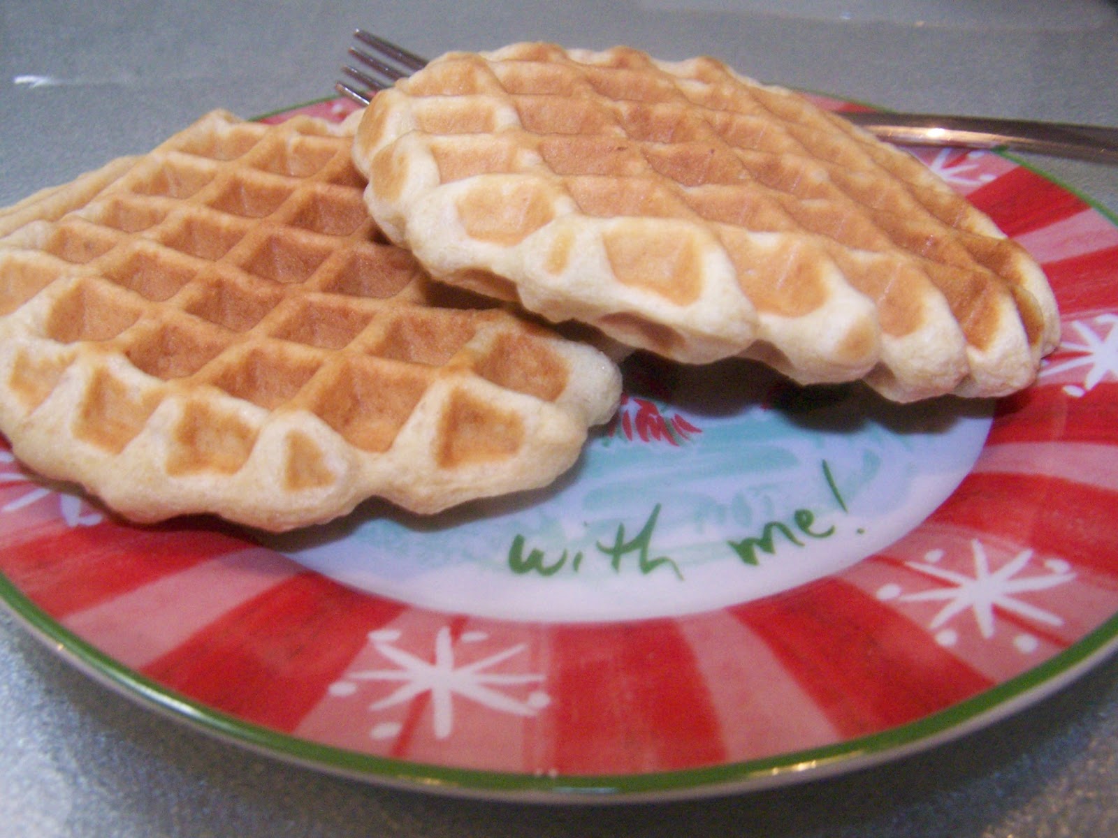 Gluten Free Toaster Waffles, DF, SF, xanthan free Skinny GF Chef