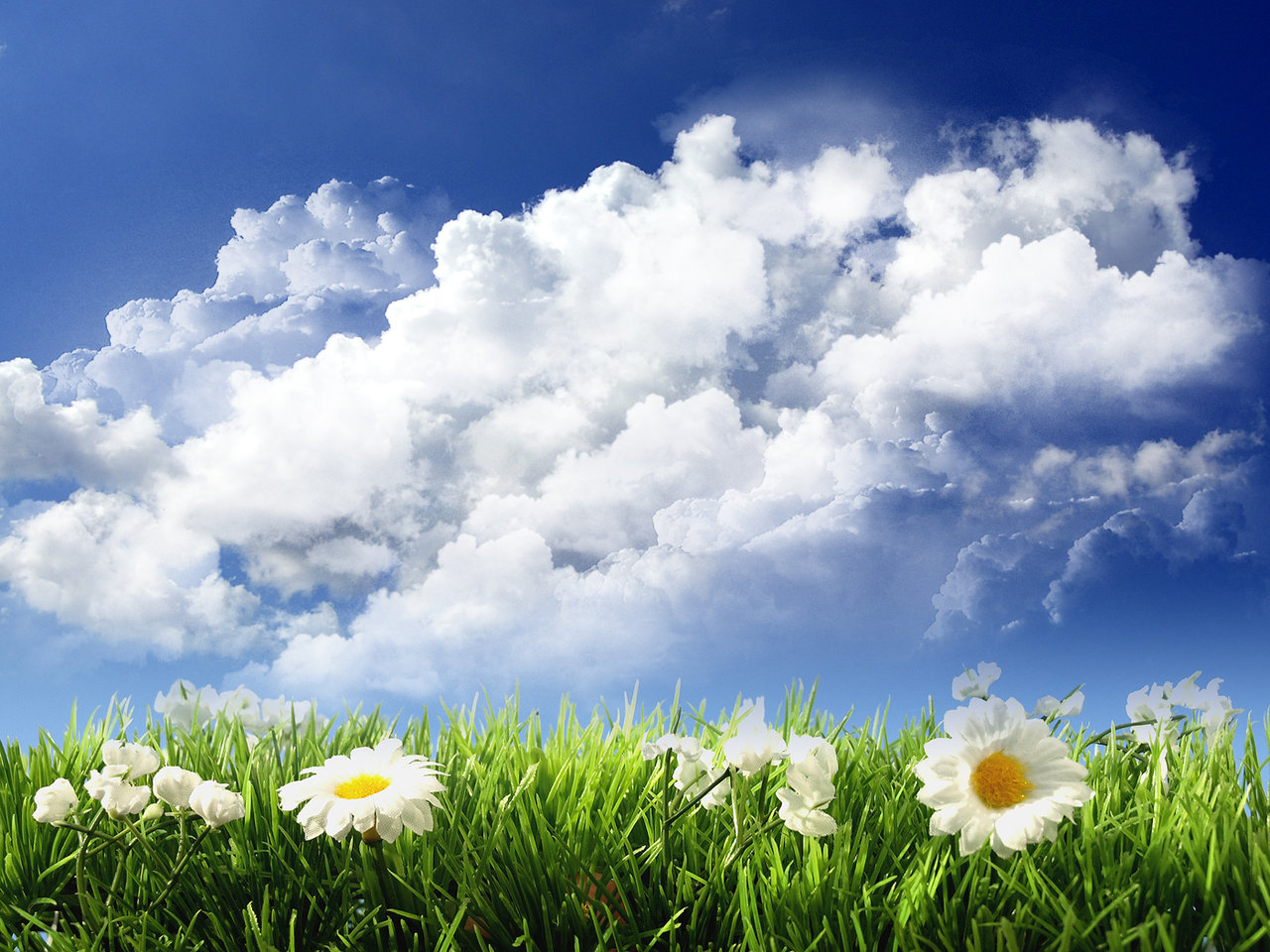 http://4.bp.blogspot.com/-qI49AjX-_DI/TbLiWwFd5JI/AAAAAAAABcA/2_FPmV4y9Rs/s1600/sky-and-flowers.jpg