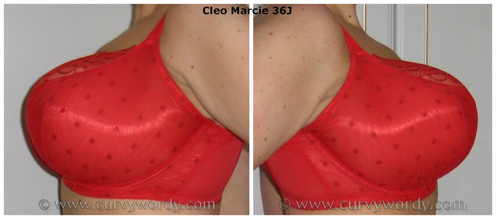 Panache Cleo Marcie Bra in Red 34J and 36J Curvy Wordy