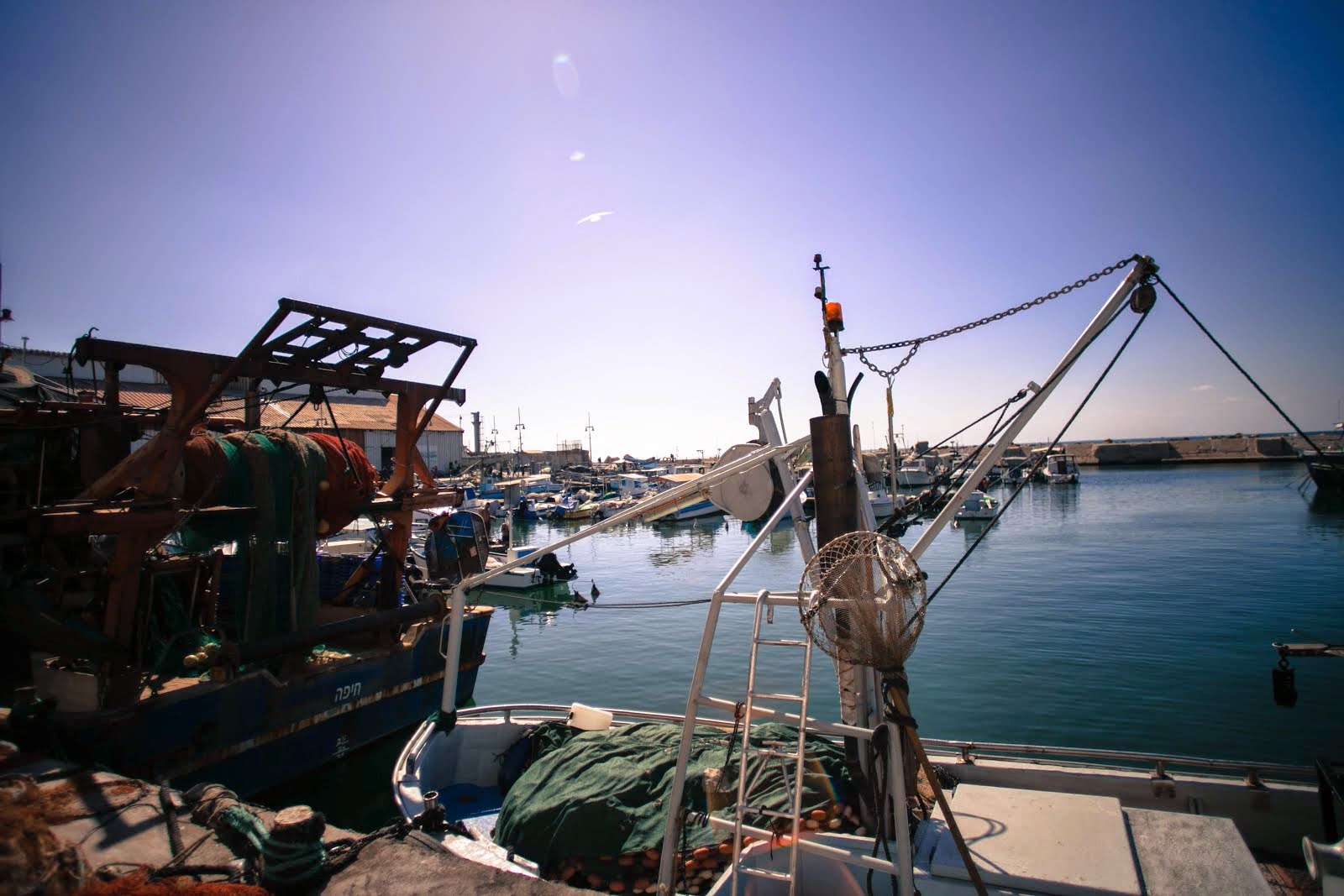 Jaffa Port
