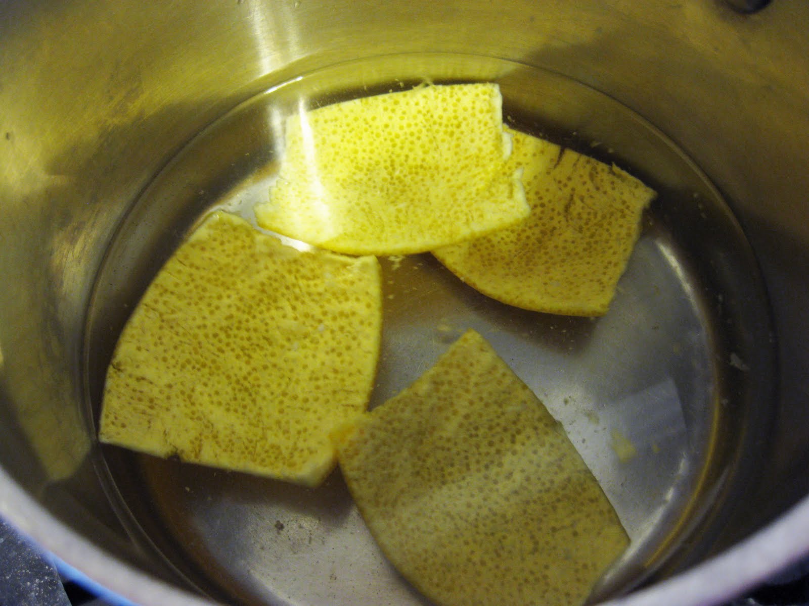 Bloatal Recall Candied Orange Peel