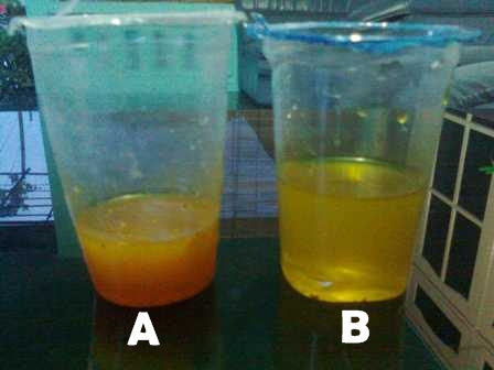 Satu Untuk Semua (kelas A 2010): Membedakan Pewarna Alami dan Buatan