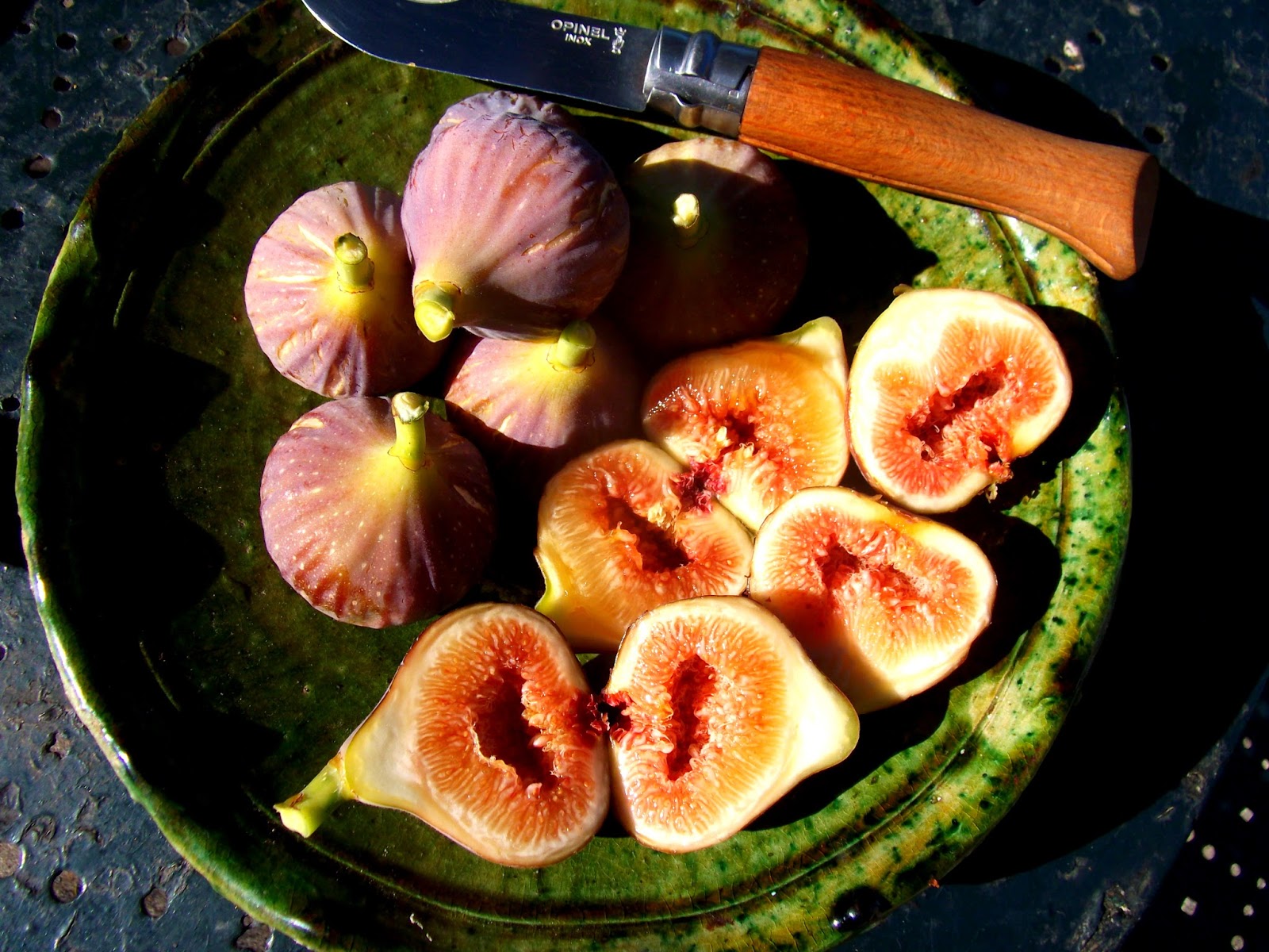Magnon's Meanderings Fig Season.