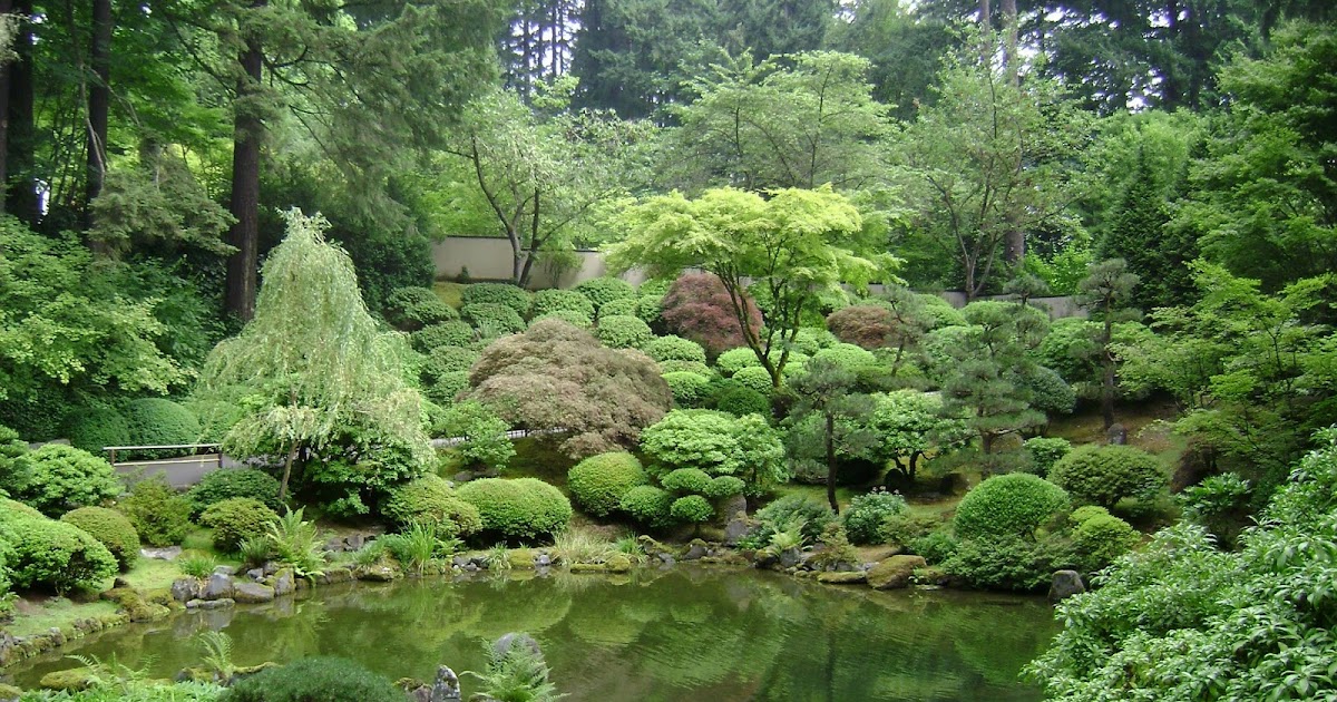 Prairie Rose's Garden: Welcome to My Japanese Garden!