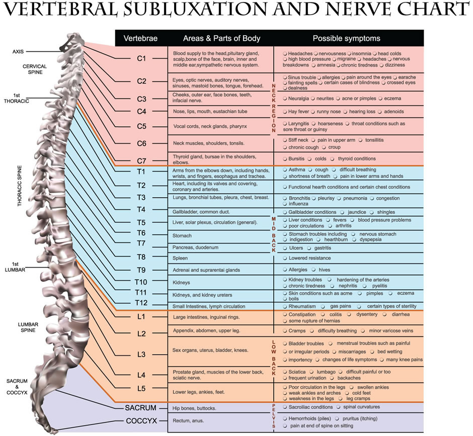 Chiropractic Subluxation Chart