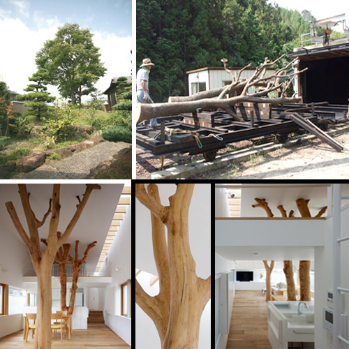 Garden Tree House en Japón