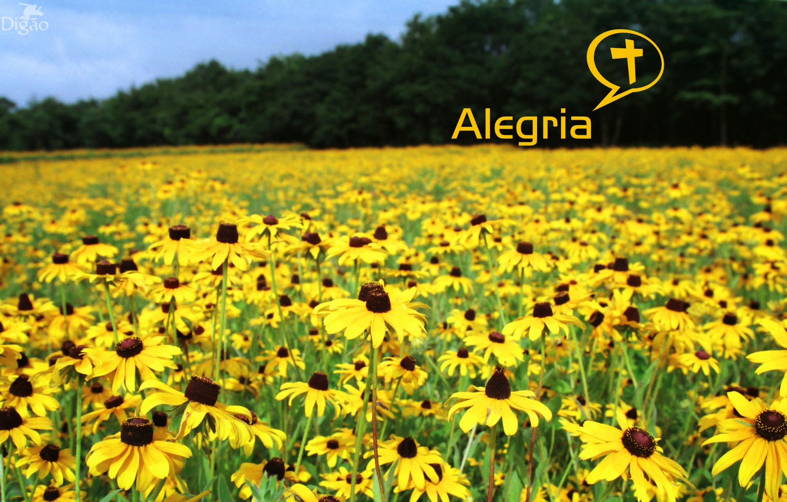 http://4.bp.blogspot.com/-qKPdcsI6r1c/Tnn1k4nn8vI/AAAAAAAAC34/7Y36i4P969E/s1600/alegria.jpg