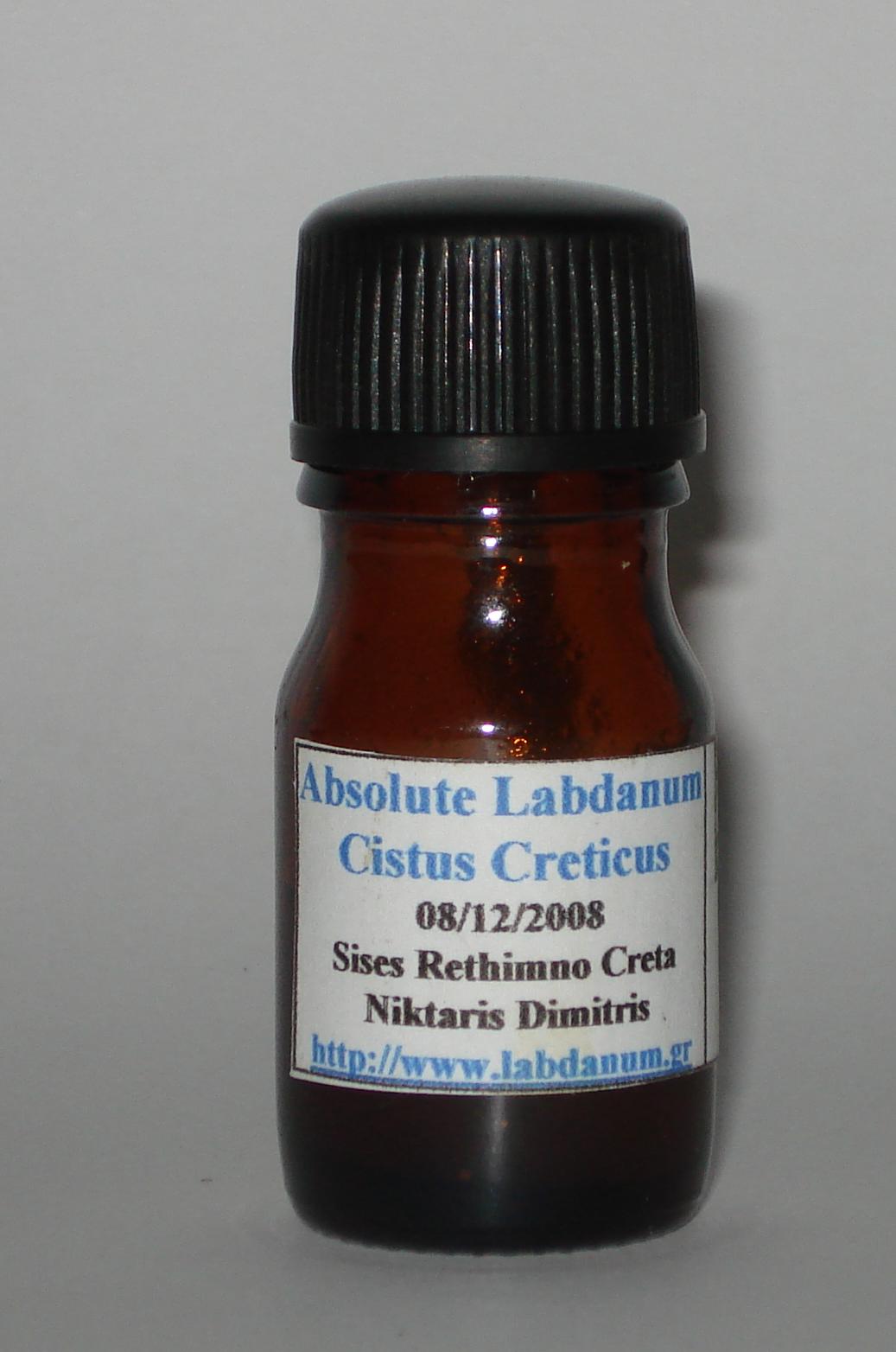 Labdanum or ladanum of Cistus Incanus Creticu / Cistus Incanus Tea from ...