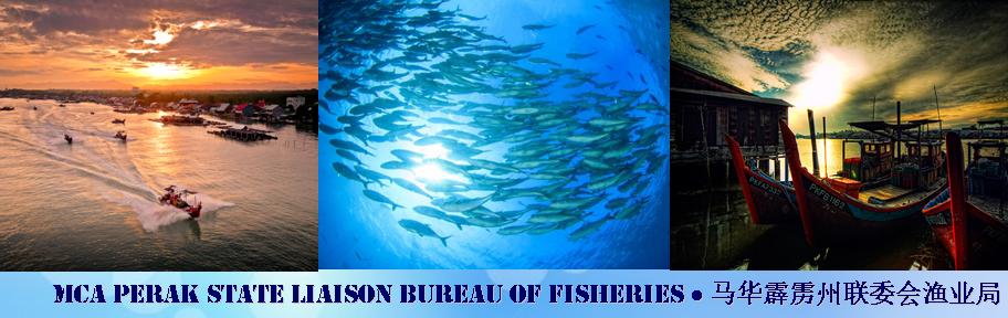 马华霹雳州联委会渔业局 MCA PERAK STATE LIAISON BUREAU OF FISHERIES（2013年-2016年）