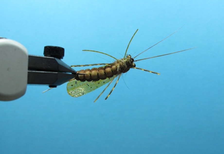 Fly Tying Nation Fishable Semi Realistic Adult Stonefly / Salmonfly