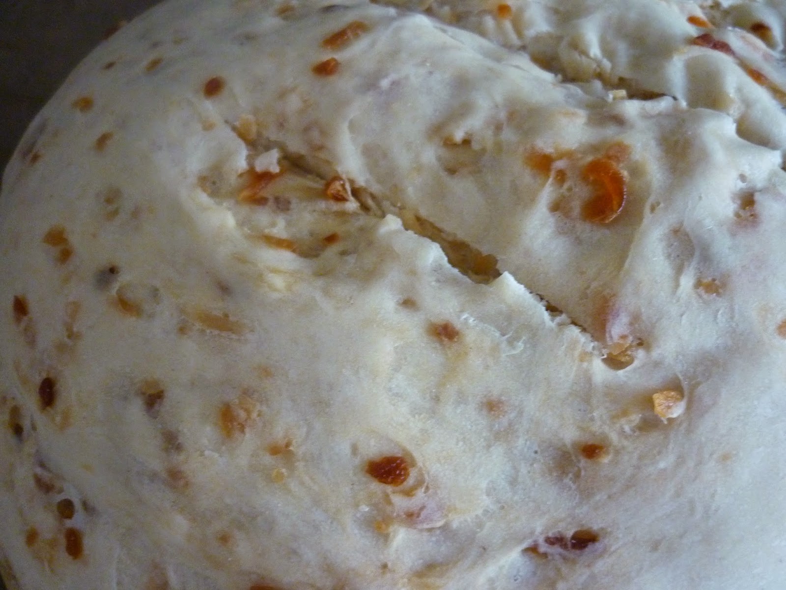 Homemade Onion Bread Recipe Honeypot Blogs