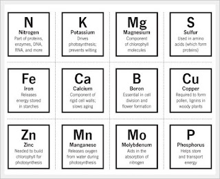 elements.jpg