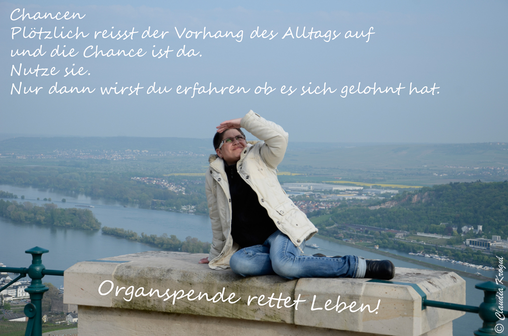 Dickydackel Blog Organspende Spruche Bilder