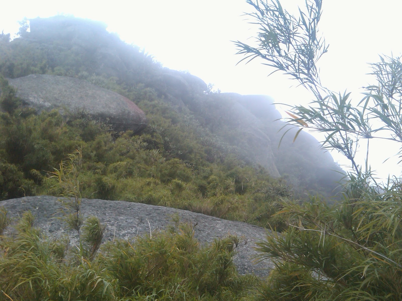 Parque Nacional El Ávila