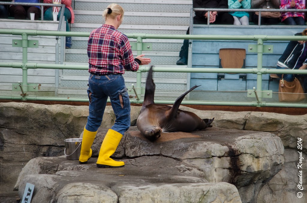 Regional Medien Erdenken Erschreiben Performen