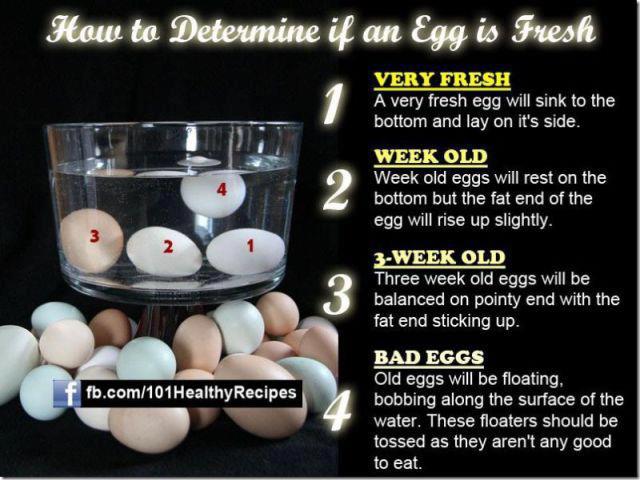 Egg Freshness Chart