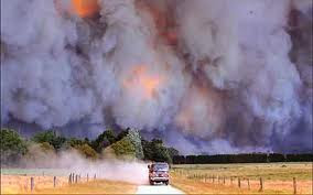 toxic gases wedus trash