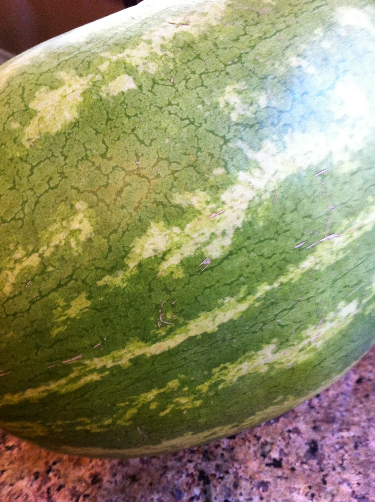 OC Mom Blog Homemade Watermelon Gelato Recipe Sfsmarties