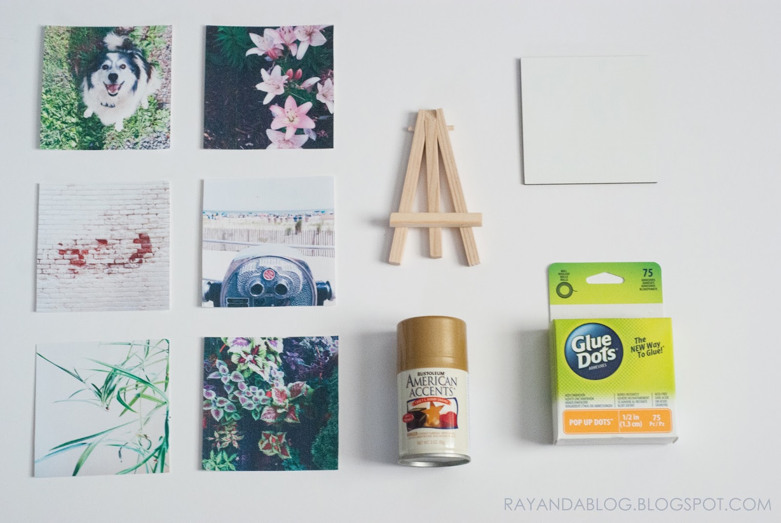 Ray & A DIY Photo Easel