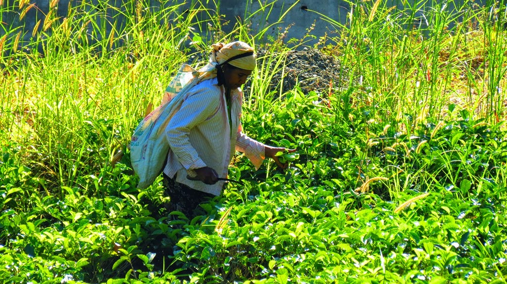 insta lanka avec claire