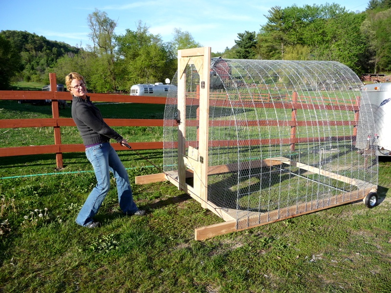 How To Move Chickens Gypsy Farmgirl