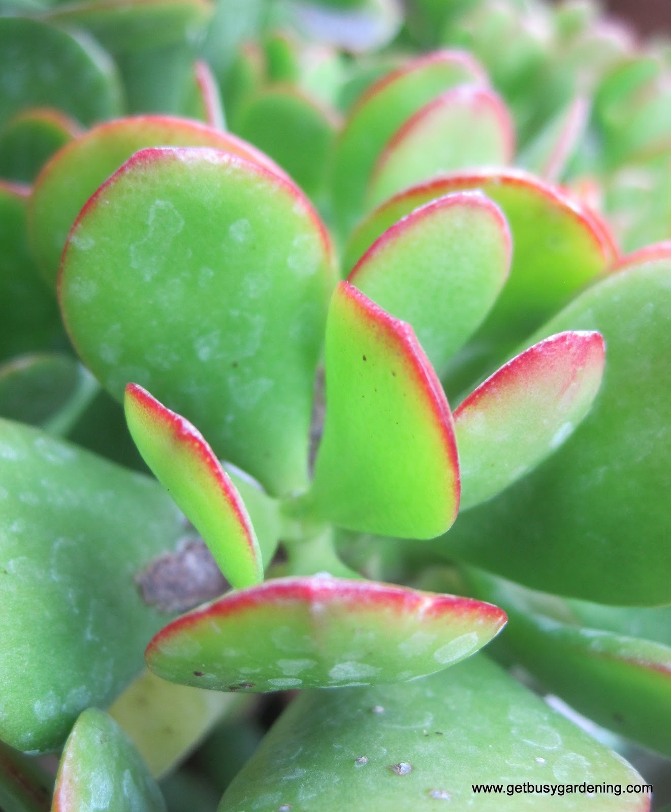 301 Moved Permanently