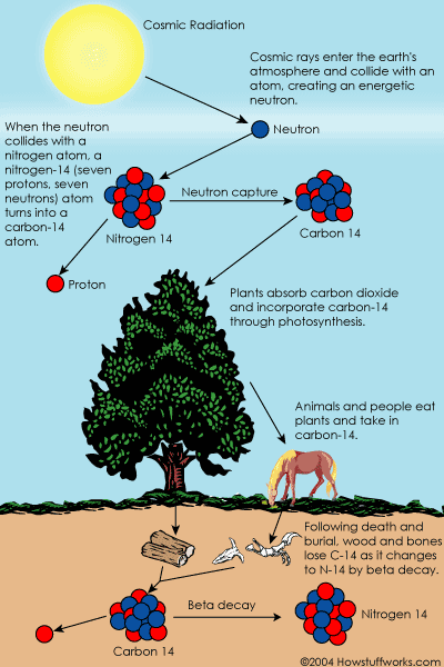 Limit of radiocarbon dating