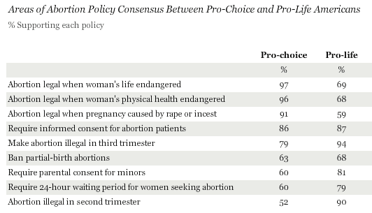 abortion pro life essay
