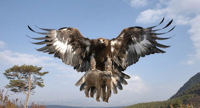 thunderbird animal thunderbird animal