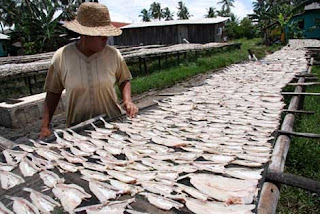 PENGERINGAN IKAN