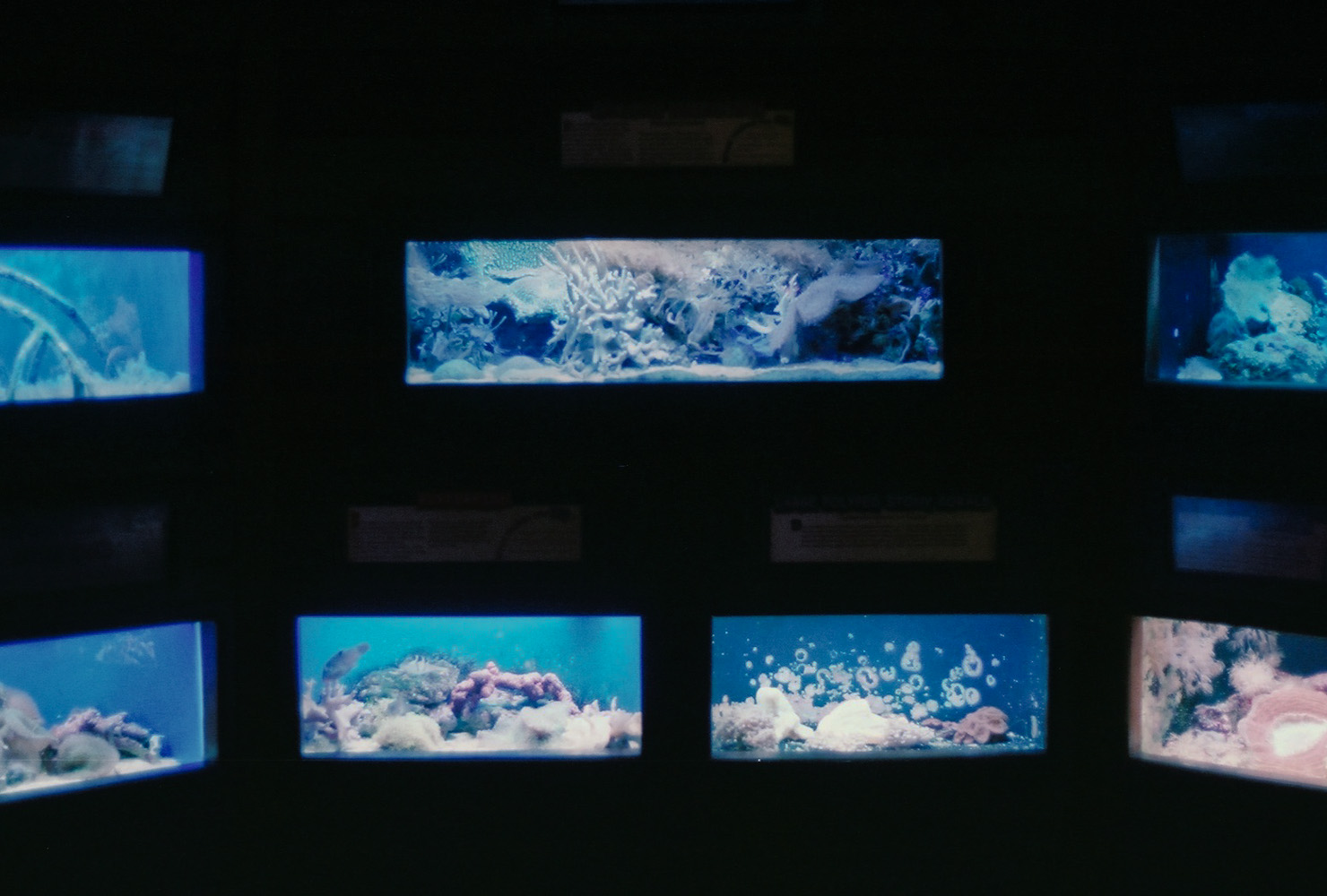 selection of light aquarium film