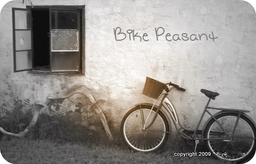 Bike Peasant