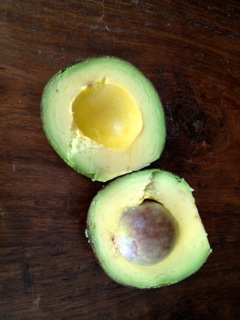 Reed Avocado