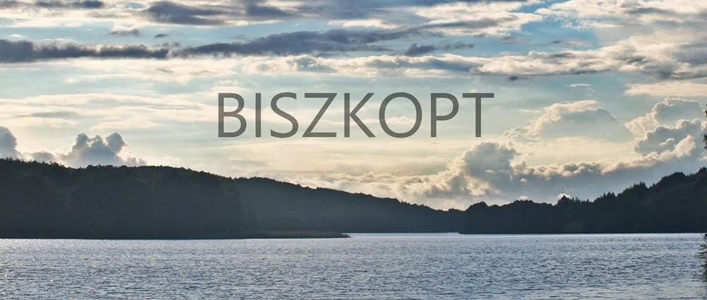 Biszkopt's Stuff