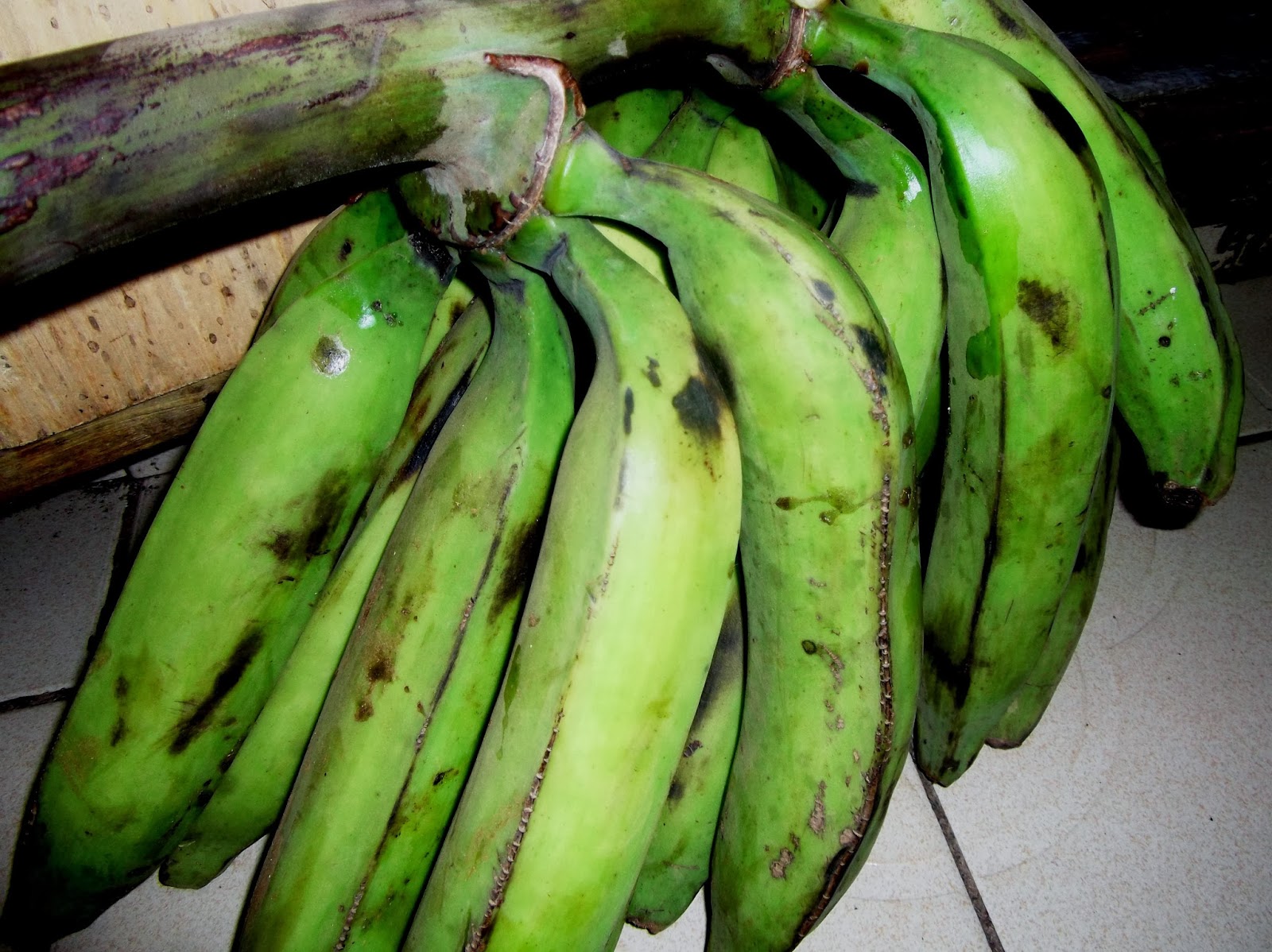 Youth & ICT 4 Sustainable Agriculture La banane plantain Comment